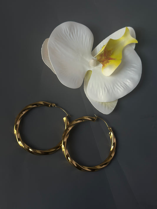Janicia Hoops (5CM)